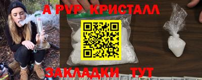 стаф Шебекино