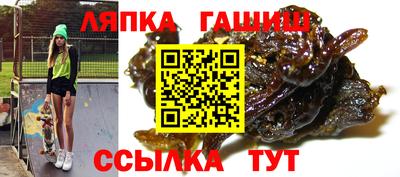 стаф Шебекино