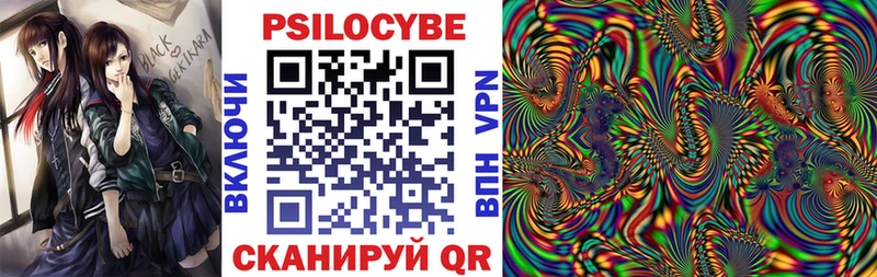 shop как зайти  Мичуринск  Галлюциногенные грибы GOLDEN TEACHER  KRAKEN зеркало 