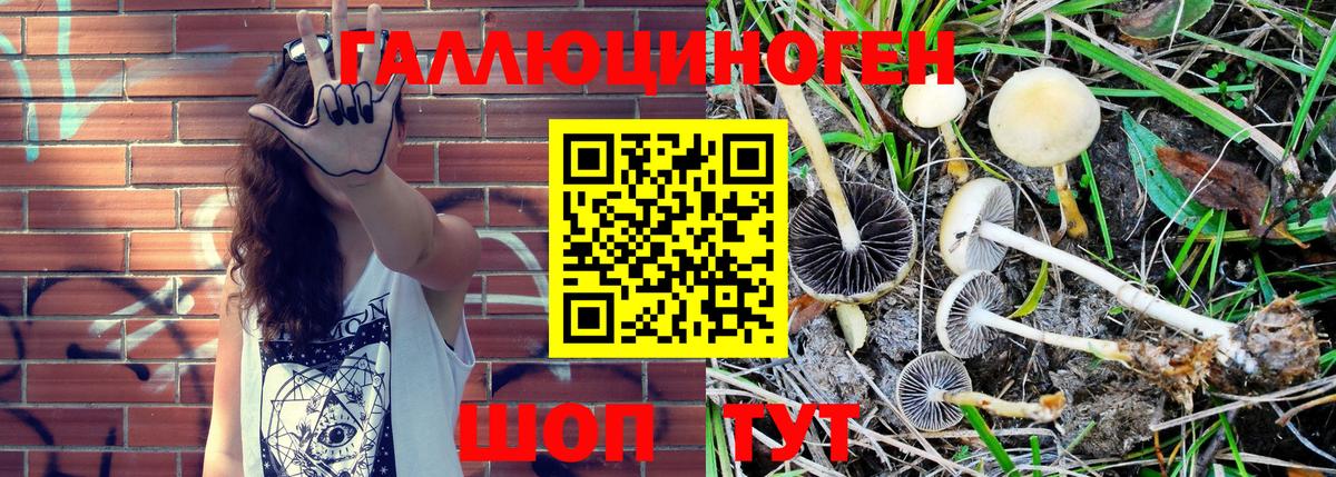 Галлюциногенные грибы MAGIC MUSHROOMS Мичуринск